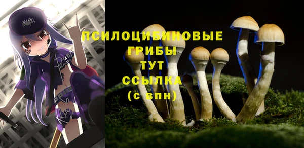 герыч Вяземский