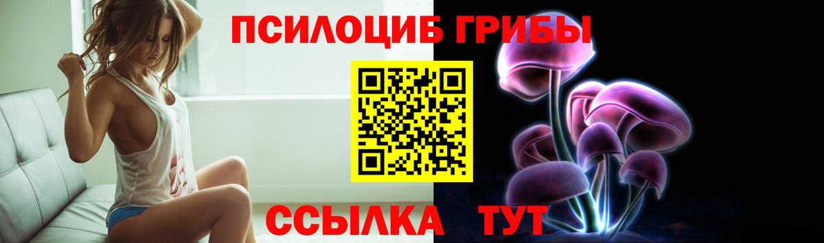 Псилоцибиновые грибы Psilocybe  цена   Муром  Вход с VPN  Галлюциногенные грибы MAGIC MUSHROOMS 